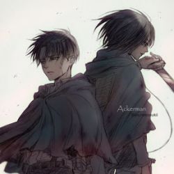 Ackerman 845