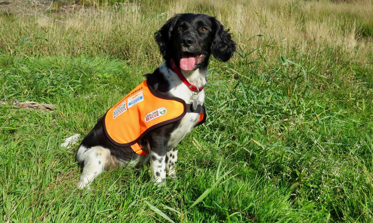 Search Dog Heroes to help find missing persons with dementia using dog