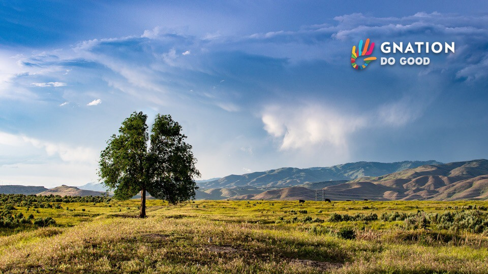 Smoke-free generation ‘in sight’ as numbers of smokers drop dramatically