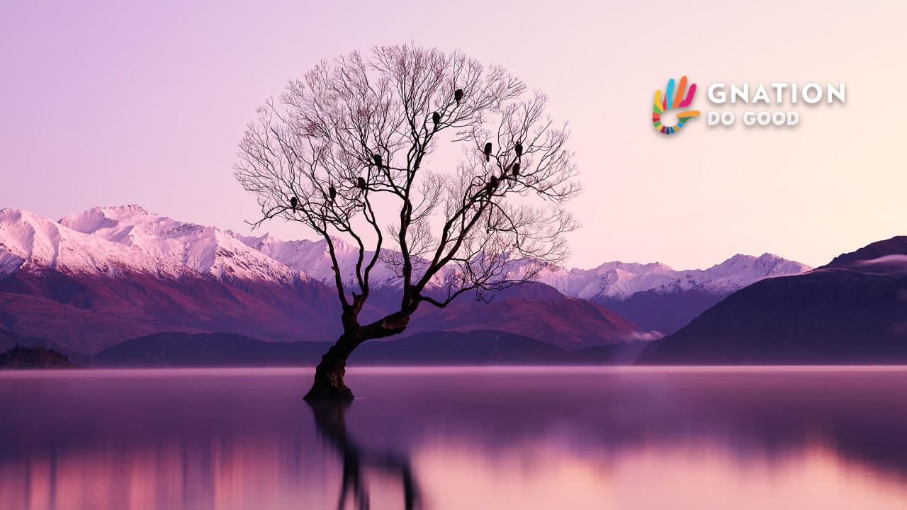 The mobile game that can detect Alzheimer's risk