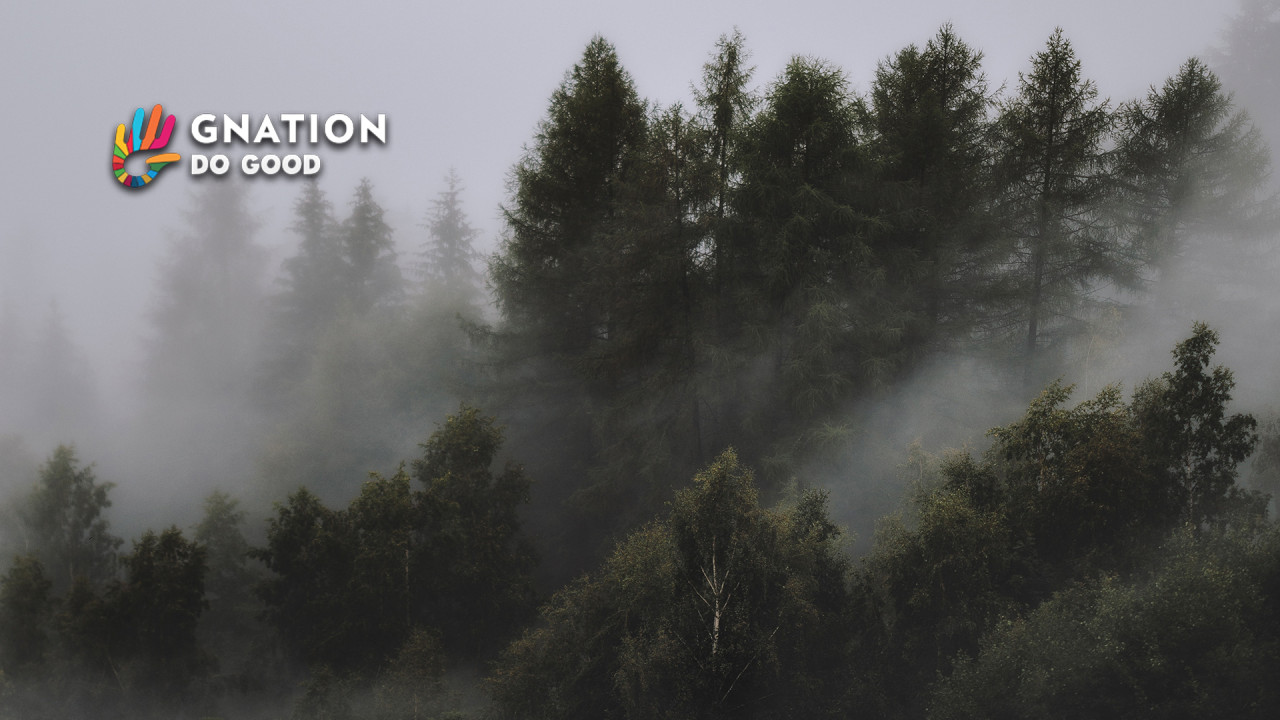 Siberia wildfires: Russians battle to contain the blazes