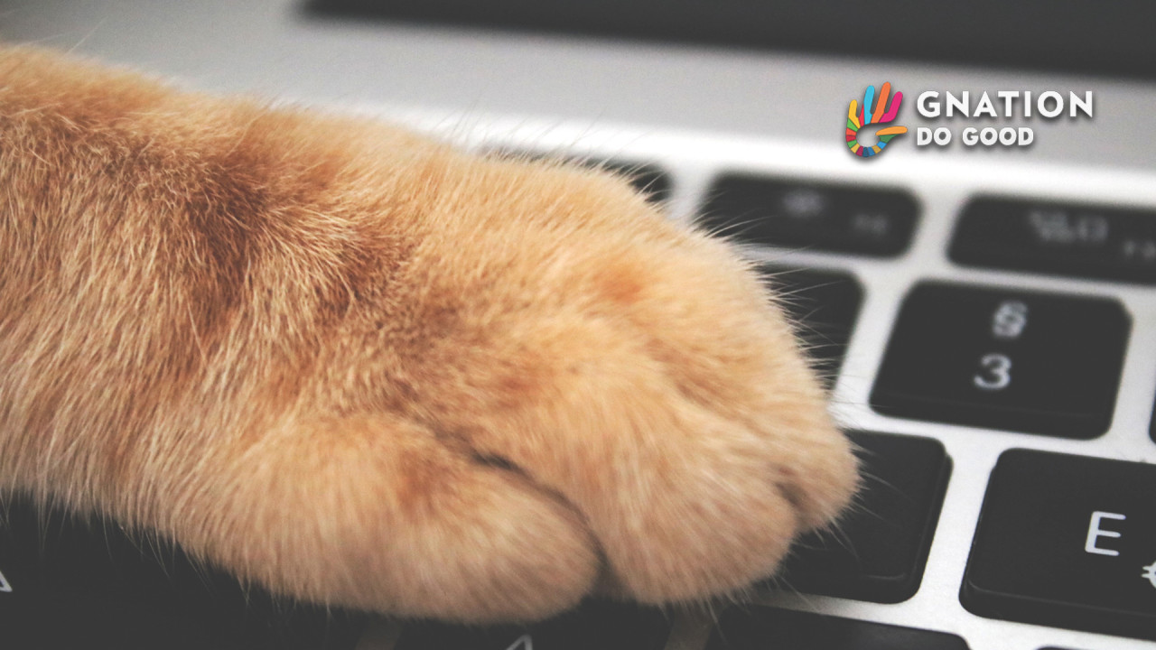 GAMING Playmob And Beyond: How The Gaming Community Gives Back