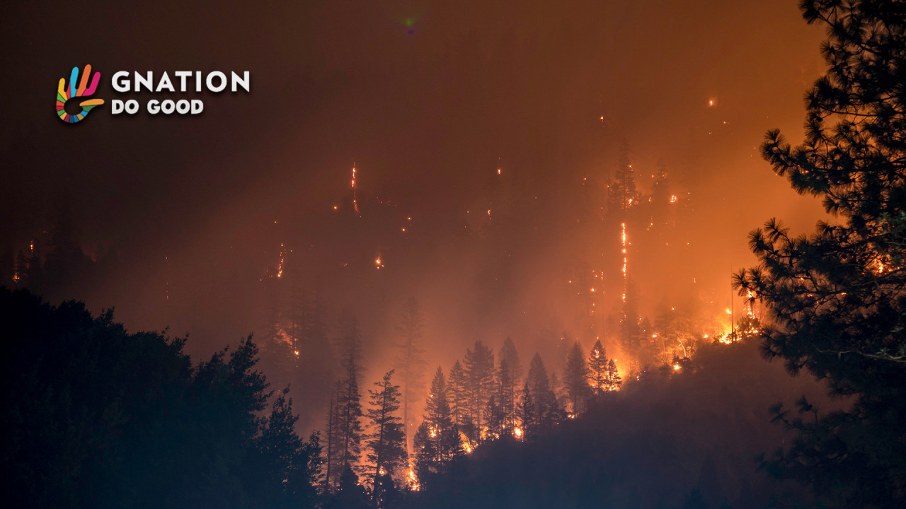 AMAZON FIRES WITH NO ATTENTION