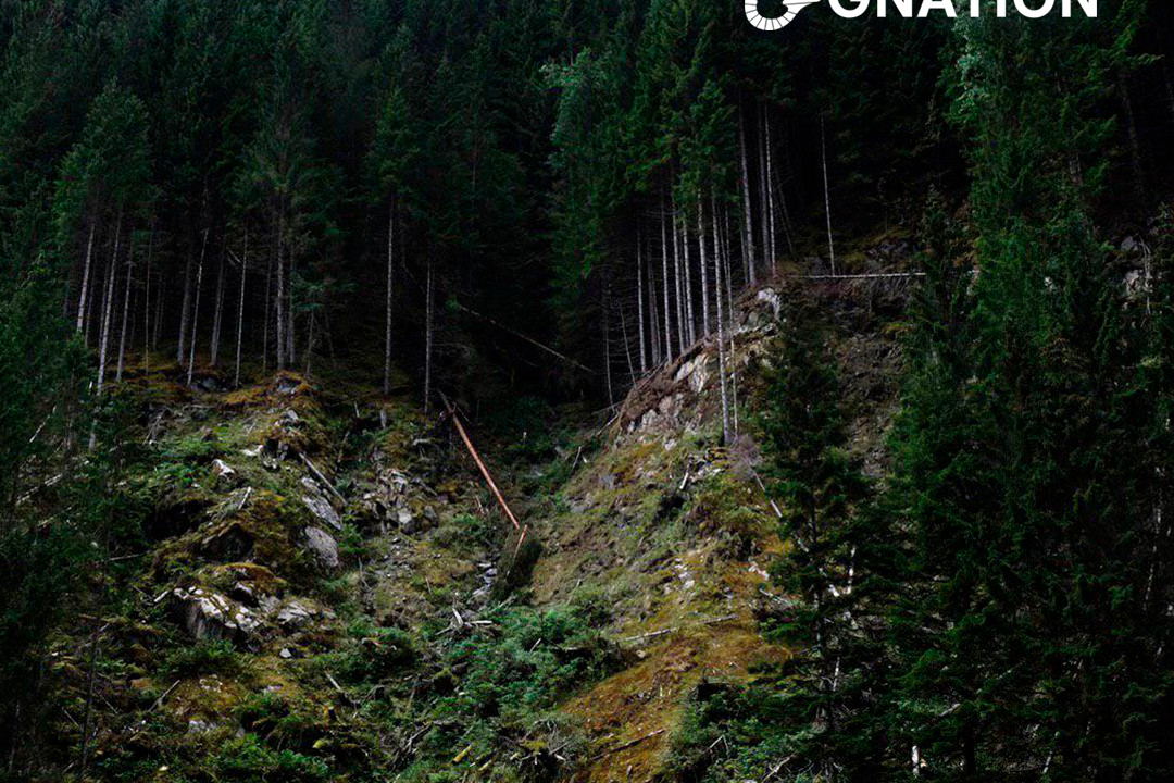 Brazilian Amazon deforestation surges to break August records