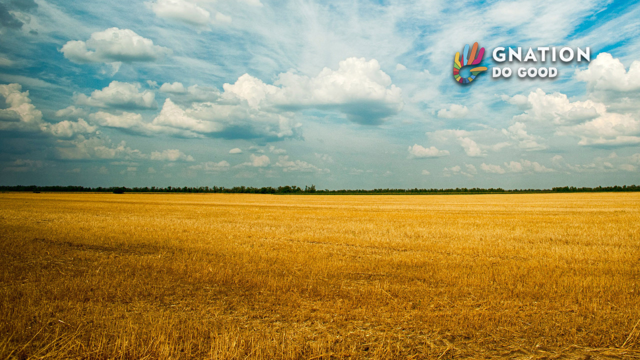 Poor harvest in 2019 may push 6.3 million Somalis to hunger by year end
