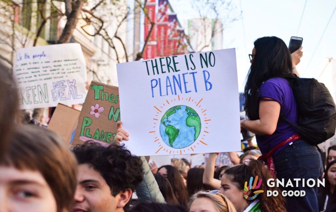 Tigers, elephants and pangolins suffer as global wildlife trafficking soars