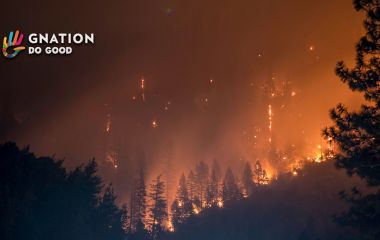 AMAZON FIRES WITH NO ATTENTION