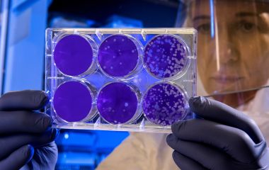 GNation launches projects to fight against consequences of Coronavirus