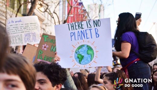 Tigers, elephants and pangolins suffer as global wildlife trafficking soars